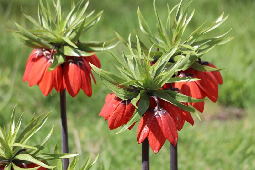 Bu insanlar neye bakıyor? Gece-gündüz nöbet tutuyorlar, ilk kez görenler şaştı kaldı! 9